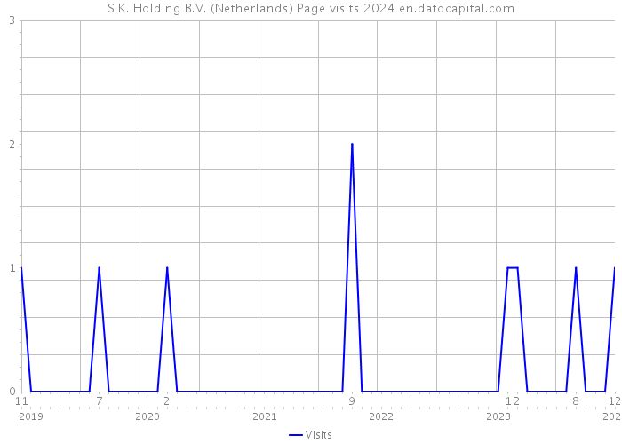 S.K. Holding B.V. (Netherlands) Page visits 2024 