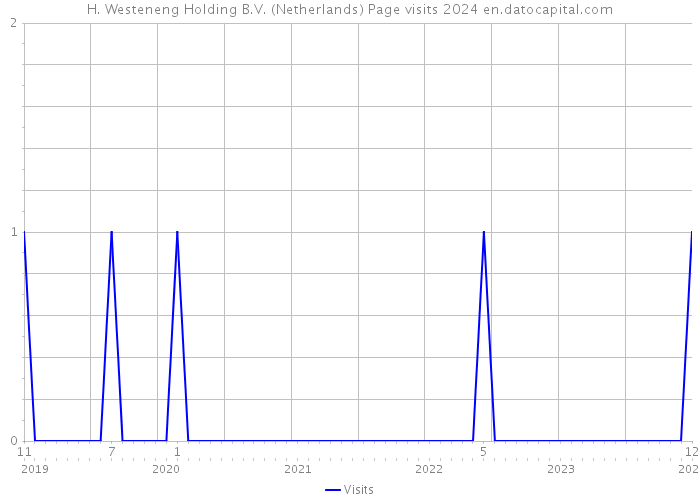 H. Westeneng Holding B.V. (Netherlands) Page visits 2024 