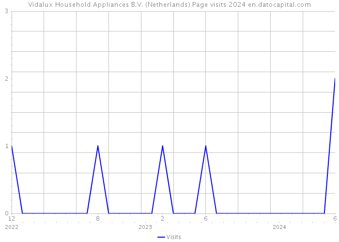 Vidalux Household Appliances B.V. (Netherlands) Page visits 2024 