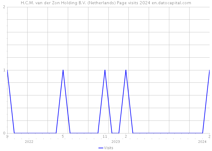 H.C.M. van der Zon Holding B.V. (Netherlands) Page visits 2024 