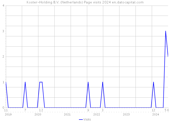 Koster-Holding B.V. (Netherlands) Page visits 2024 