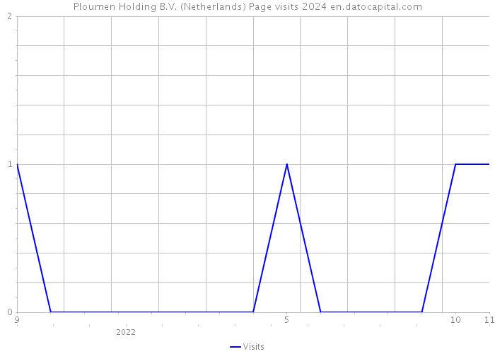 Ploumen Holding B.V. (Netherlands) Page visits 2024 