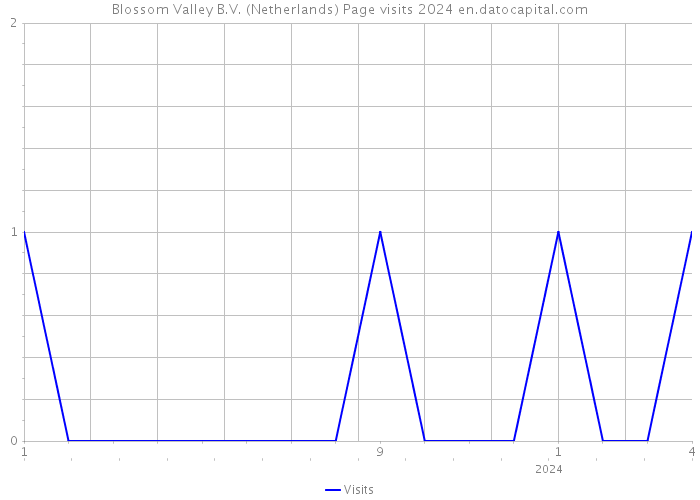 Blossom Valley B.V. (Netherlands) Page visits 2024 