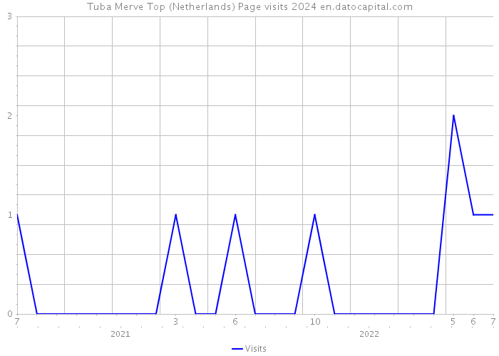 Tuba Merve Top (Netherlands) Page visits 2024 