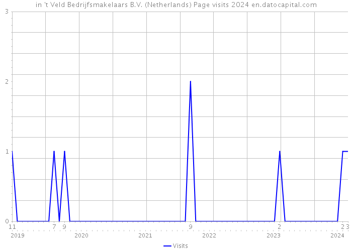 in 't Veld Bedrijfsmakelaars B.V. (Netherlands) Page visits 2024 