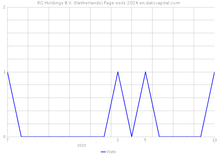 RG Holdings B.V. (Netherlands) Page visits 2024 