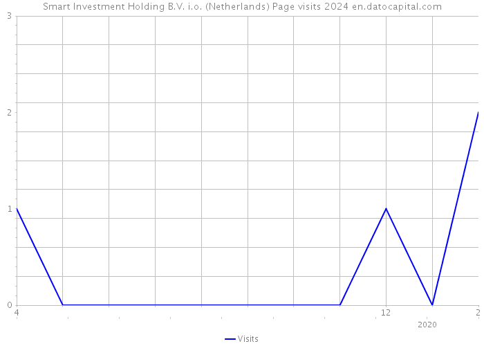 Smart Investment Holding B.V. i.o. (Netherlands) Page visits 2024 