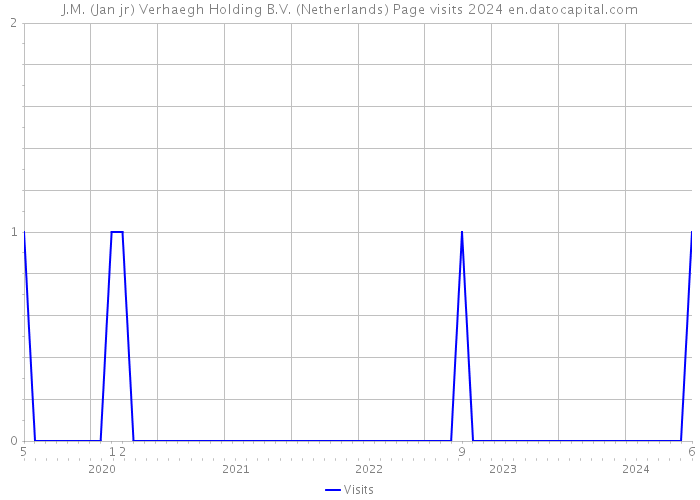 J.M. (Jan jr) Verhaegh Holding B.V. (Netherlands) Page visits 2024 