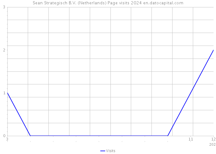 Sean Strategisch B.V. (Netherlands) Page visits 2024 