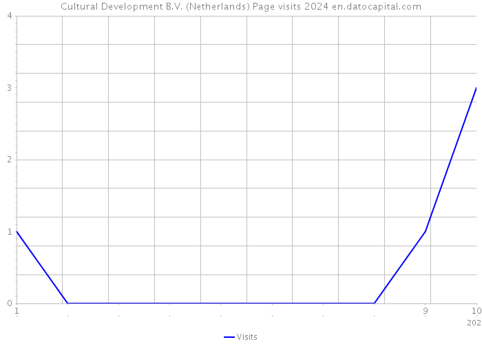 Cultural Development B.V. (Netherlands) Page visits 2024 