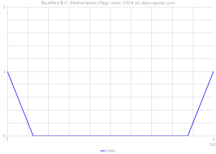 BlueMed B.V. (Netherlands) Page visits 2024 