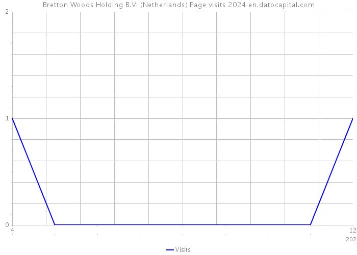 Bretton Woods Holding B.V. (Netherlands) Page visits 2024 