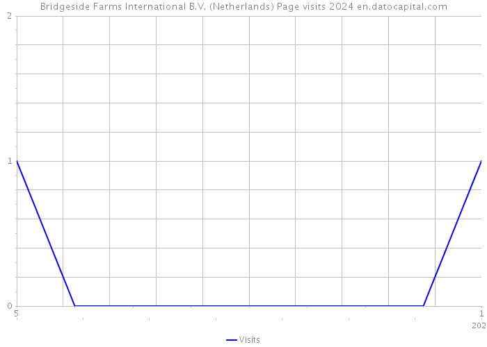 Bridgeside Farms International B.V. (Netherlands) Page visits 2024 