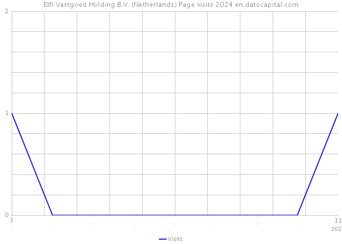 Elfi Vastgoed Holding B.V. (Netherlands) Page visits 2024 