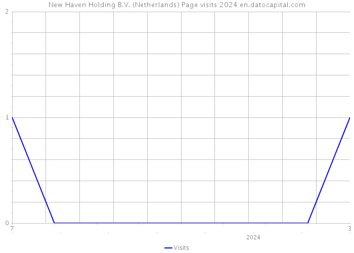 New Haven Holding B.V. (Netherlands) Page visits 2024 