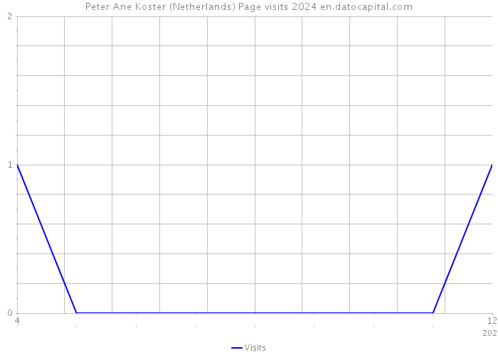 Peter Ane Koster (Netherlands) Page visits 2024 