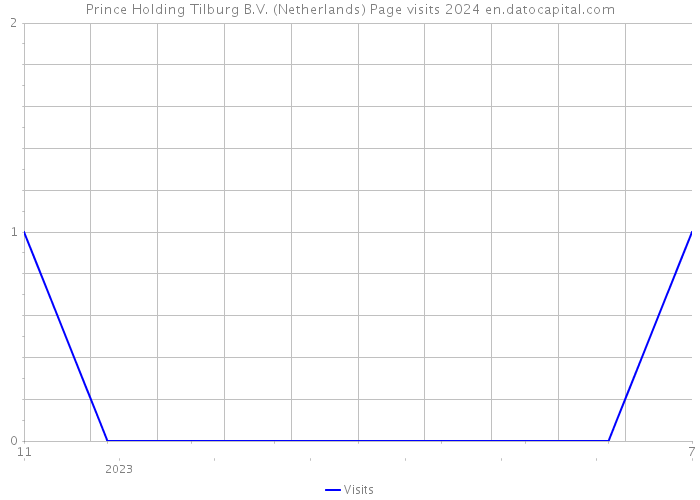 Prince Holding Tilburg B.V. (Netherlands) Page visits 2024 