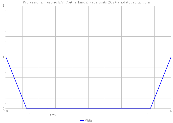 Professional Testing B.V. (Netherlands) Page visits 2024 