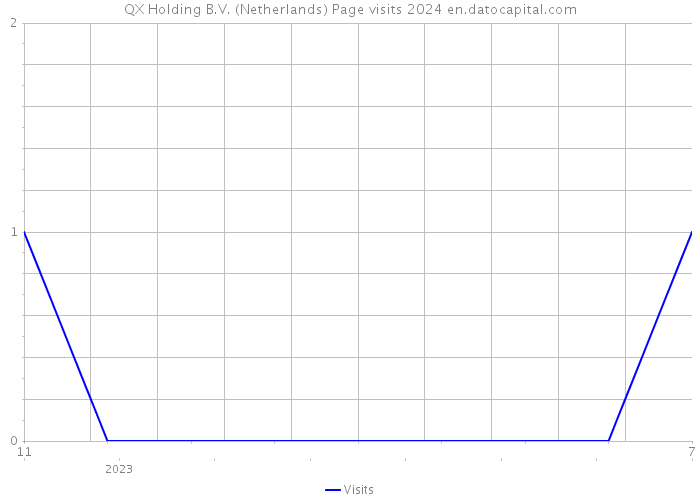QX Holding B.V. (Netherlands) Page visits 2024 