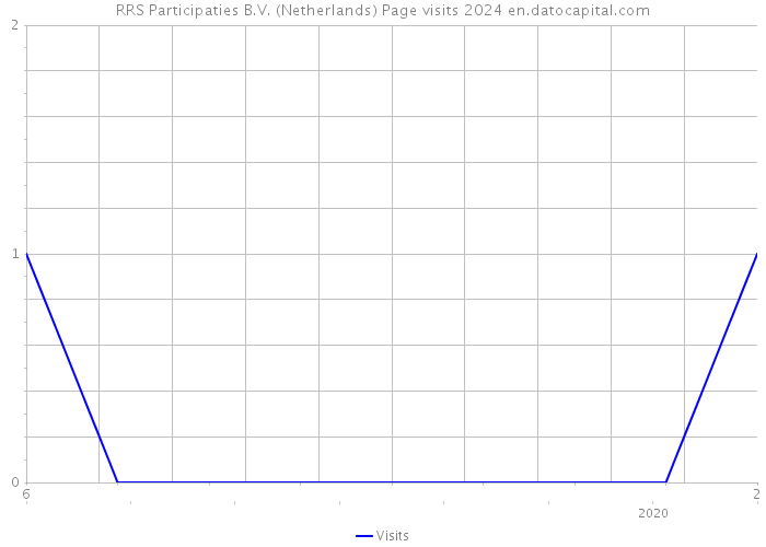 RRS Participaties B.V. (Netherlands) Page visits 2024 