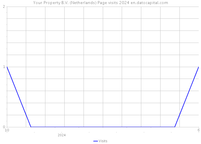 Your Property B.V. (Netherlands) Page visits 2024 