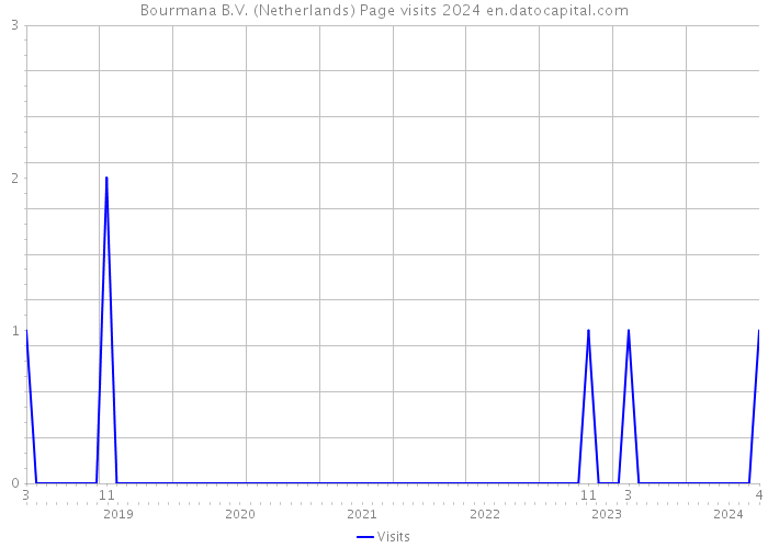 Bourmana B.V. (Netherlands) Page visits 2024 