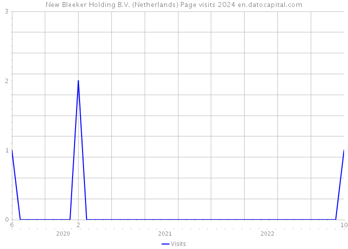 New Bleeker Holding B.V. (Netherlands) Page visits 2024 