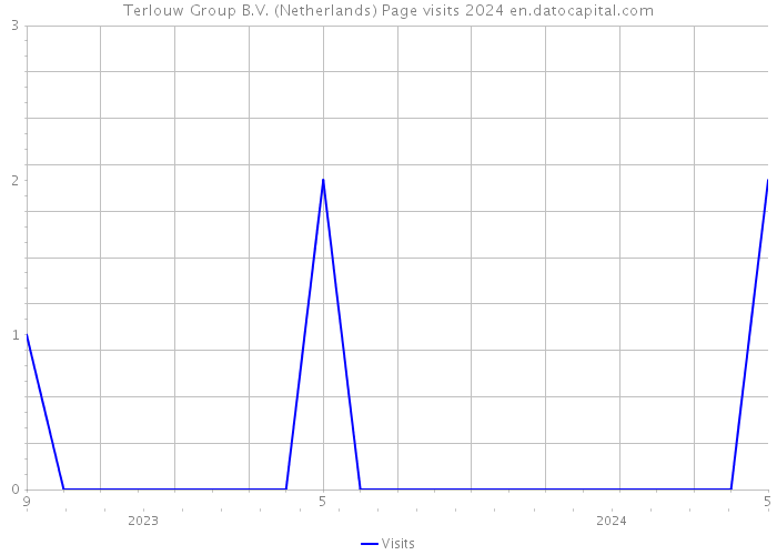 Terlouw Group B.V. (Netherlands) Page visits 2024 