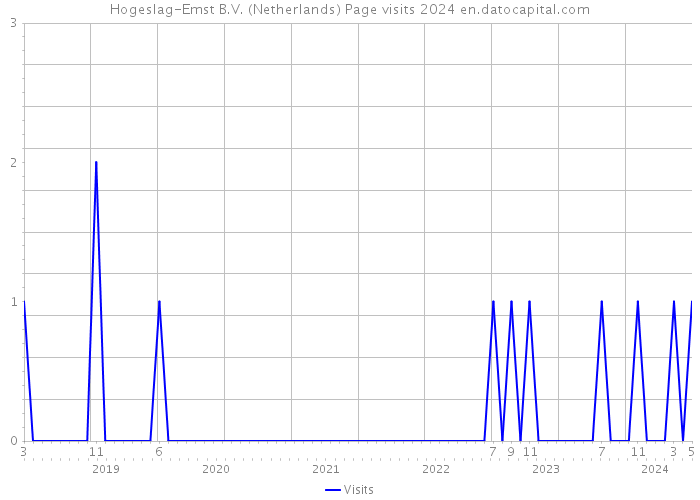 Hogeslag-Emst B.V. (Netherlands) Page visits 2024 
