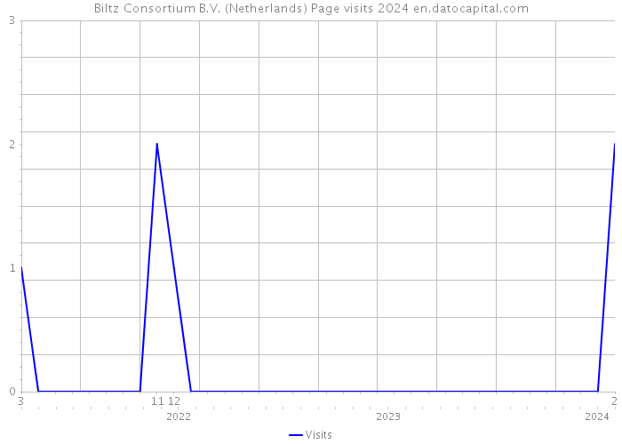 Biltz Consortium B.V. (Netherlands) Page visits 2024 