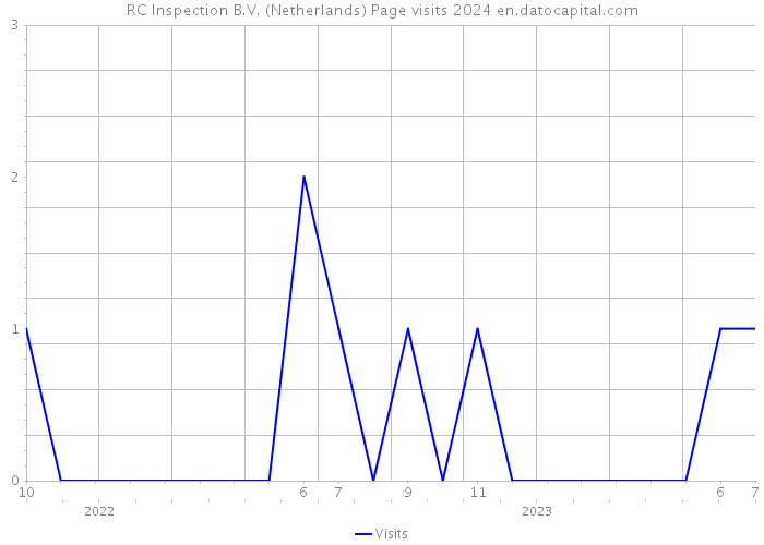 RC Inspection B.V. (Netherlands) Page visits 2024 