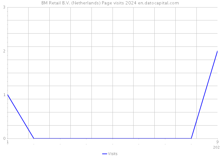 BM Retail B.V. (Netherlands) Page visits 2024 