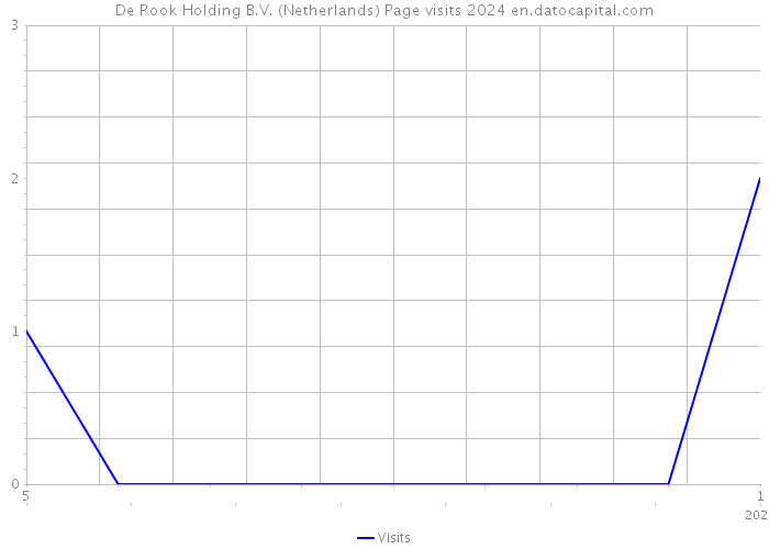 De Rook Holding B.V. (Netherlands) Page visits 2024 