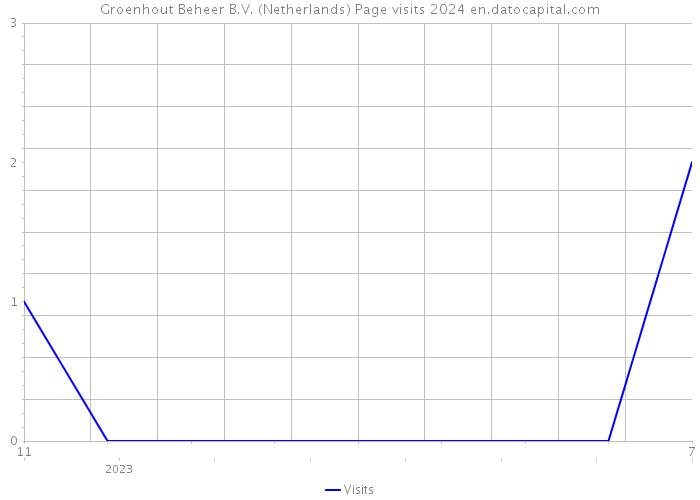 Groenhout Beheer B.V. (Netherlands) Page visits 2024 