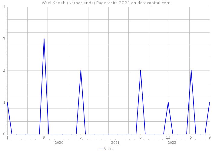 Wael Kadah (Netherlands) Page visits 2024 
