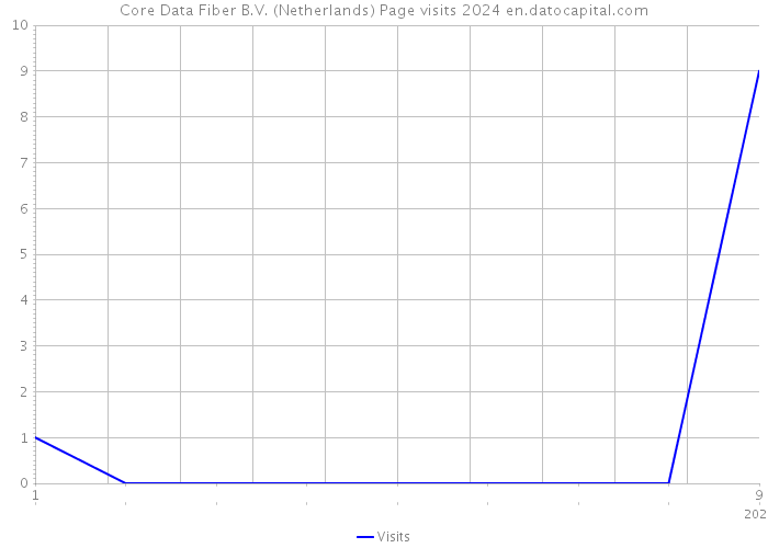 Core Data Fiber B.V. (Netherlands) Page visits 2024 