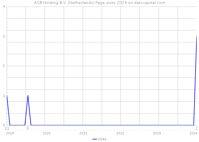 ACB Holding B.V. (Netherlands) Page visits 2024 