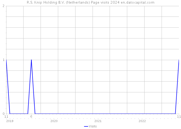 R.S. Knip Holding B.V. (Netherlands) Page visits 2024 