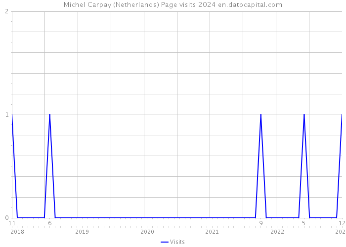 Michel Carpay (Netherlands) Page visits 2024 