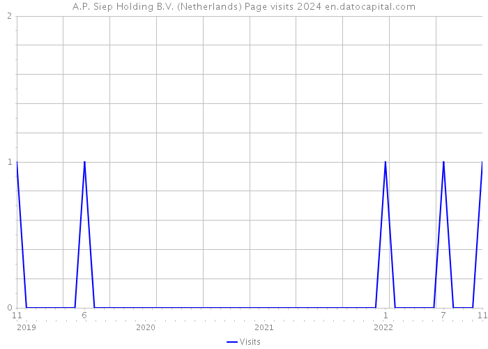 A.P. Siep Holding B.V. (Netherlands) Page visits 2024 