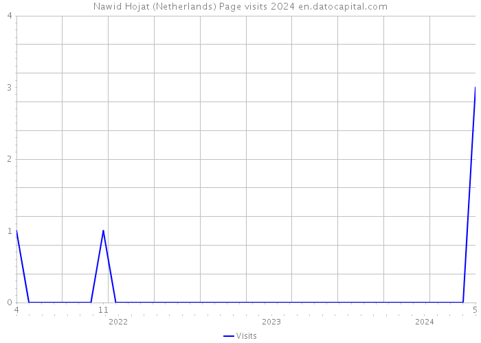 Nawid Hojat (Netherlands) Page visits 2024 