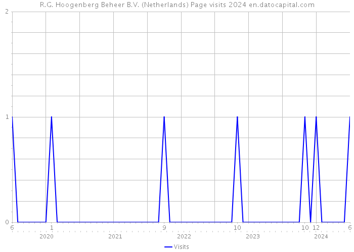 R.G. Hoogenberg Beheer B.V. (Netherlands) Page visits 2024 