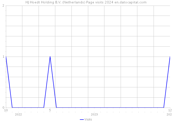 HJ Hoedt Holding B.V. (Netherlands) Page visits 2024 