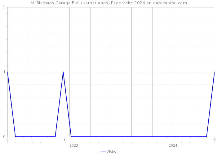M. Biemans Garage B.V. (Netherlands) Page visits 2024 