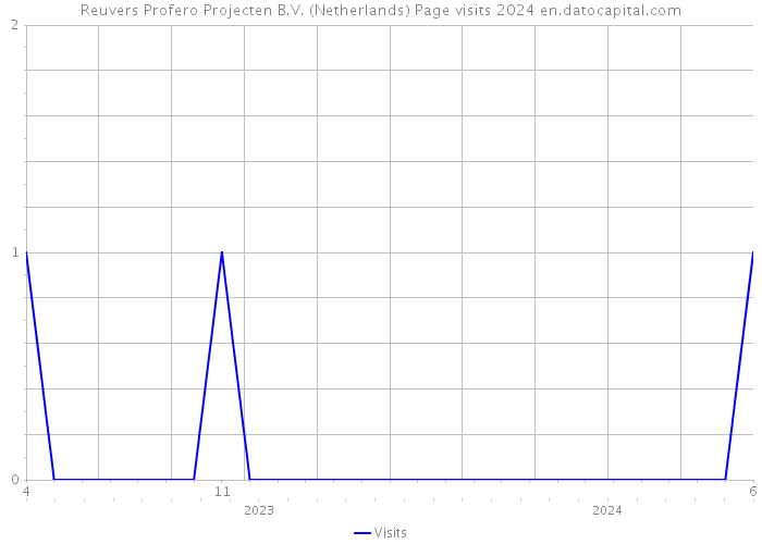 Reuvers Profero Projecten B.V. (Netherlands) Page visits 2024 