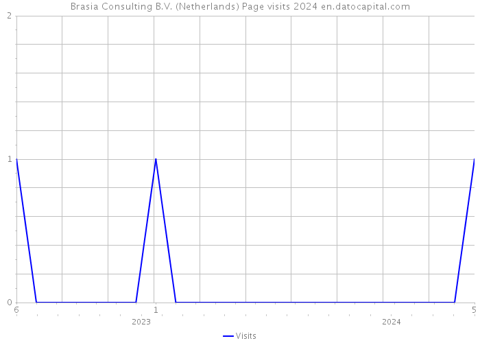Brasia Consulting B.V. (Netherlands) Page visits 2024 