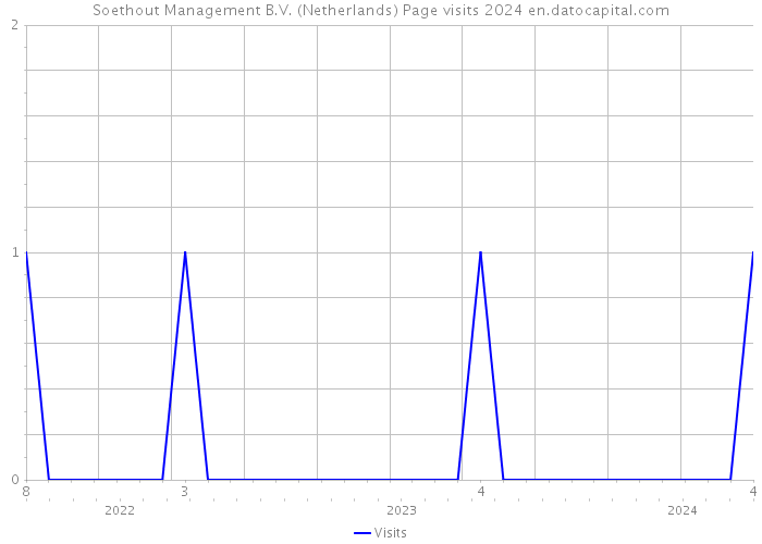 Soethout Management B.V. (Netherlands) Page visits 2024 
