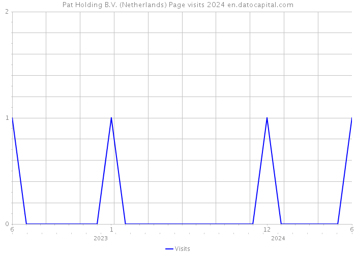Pat Holding B.V. (Netherlands) Page visits 2024 