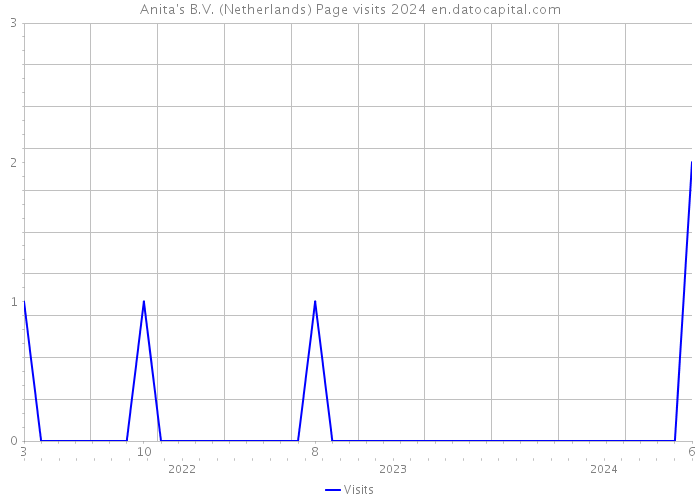 Anita's B.V. (Netherlands) Page visits 2024 