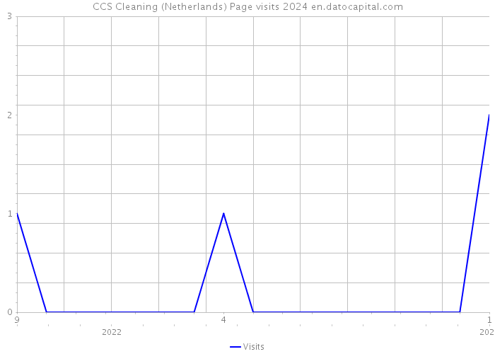 CCS Cleaning (Netherlands) Page visits 2024 